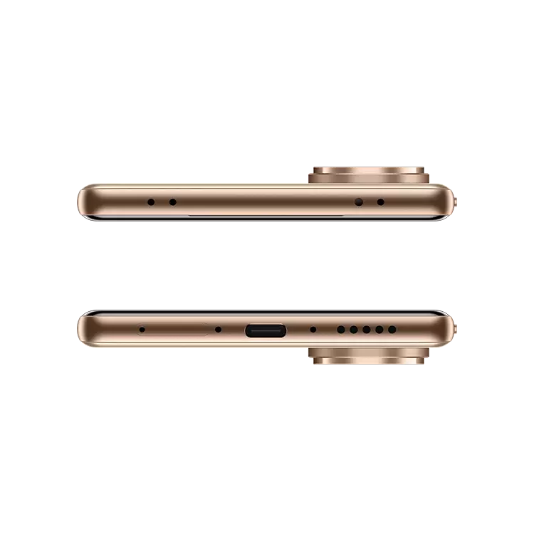 VIVO V60 5G 6 VIVO V60 5G Auspicious Gold Top